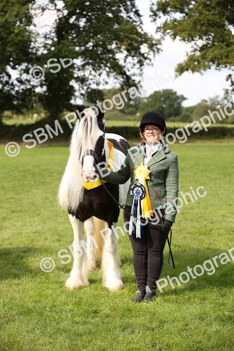 SBM_62969 - In Hand Horse Supreme Championship