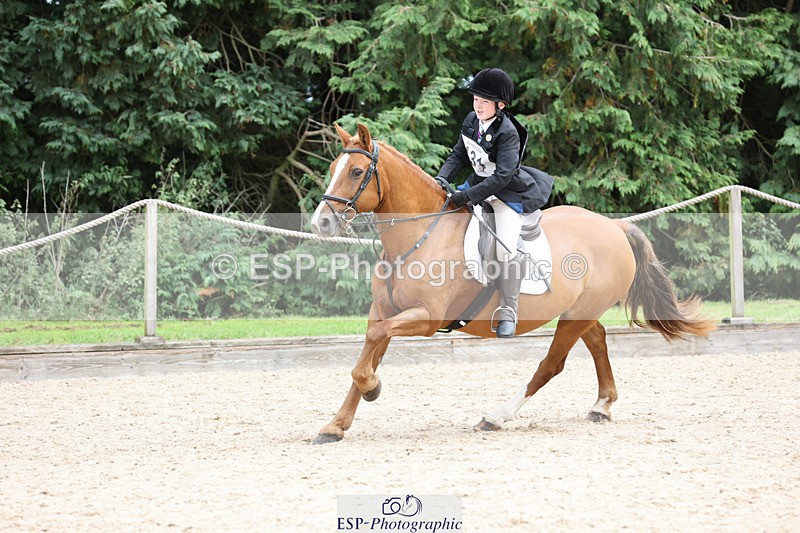 240823X-143950-18552 - 70cm R1 13.45 to 15.30