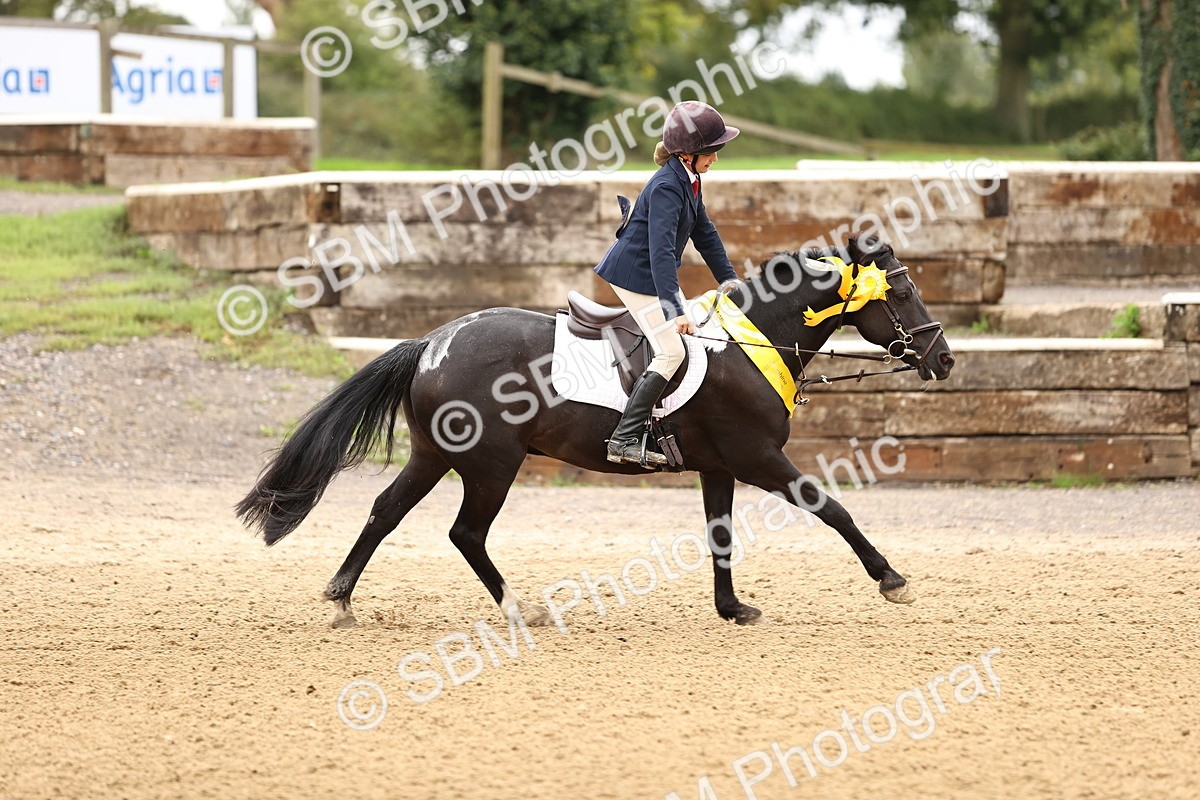 SBM_66739 - J17 - Junior Pony 80cm Championship