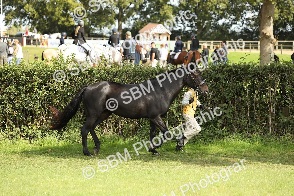SBM_68564 - S40 - Junior Handler 9-12 Years