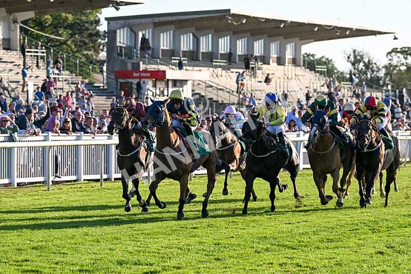 160824-Race 5-Ready Freddie Go-9564 - Race 5