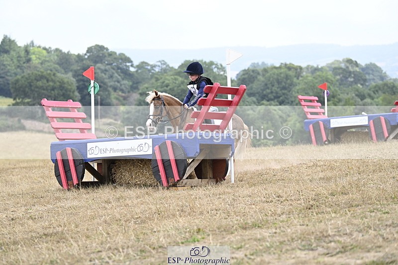 250824A-123101-36376 - 2028-Harry.Honeyball-Sardis.Cassius