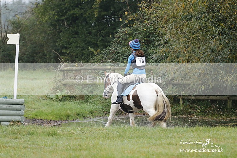 WWHT 171021 0476 - Novice Restricted (0.80m)  17/10/21