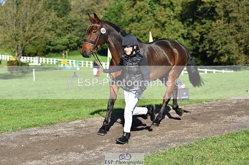 231022-105148-23552 - 466-SPARHANGER.VELVET-Tichy.Sanders-TrotUp+SJ
