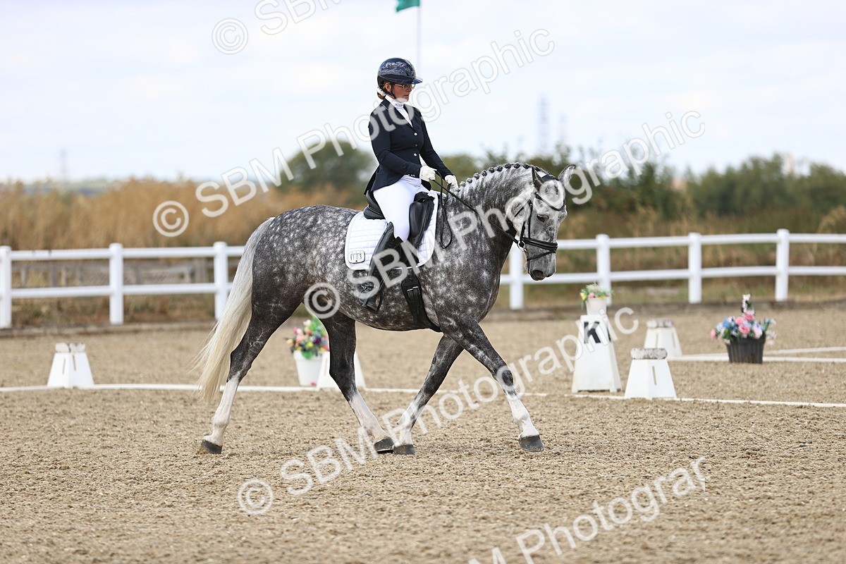 SBM_015222 - Class 5 - E5 Bronze 14.42.15.54