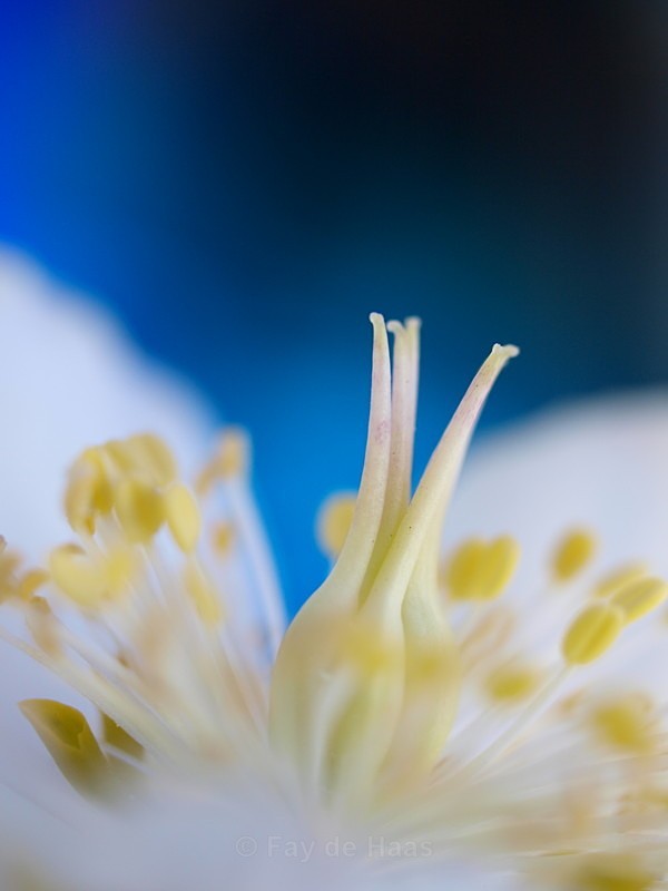  - Nature's Wonders