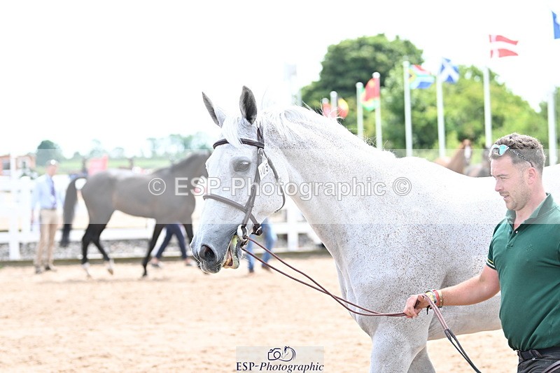 240717A-144119-02202 - Trot Up 2pm to 3pm - This folder is not in time order