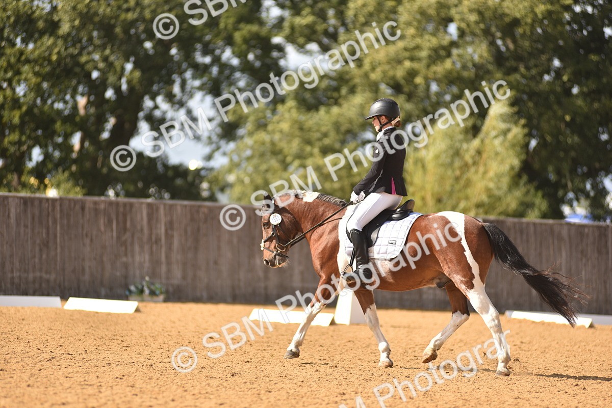 SBM_24254 - D4 - Small Tour Championship Intro 4
