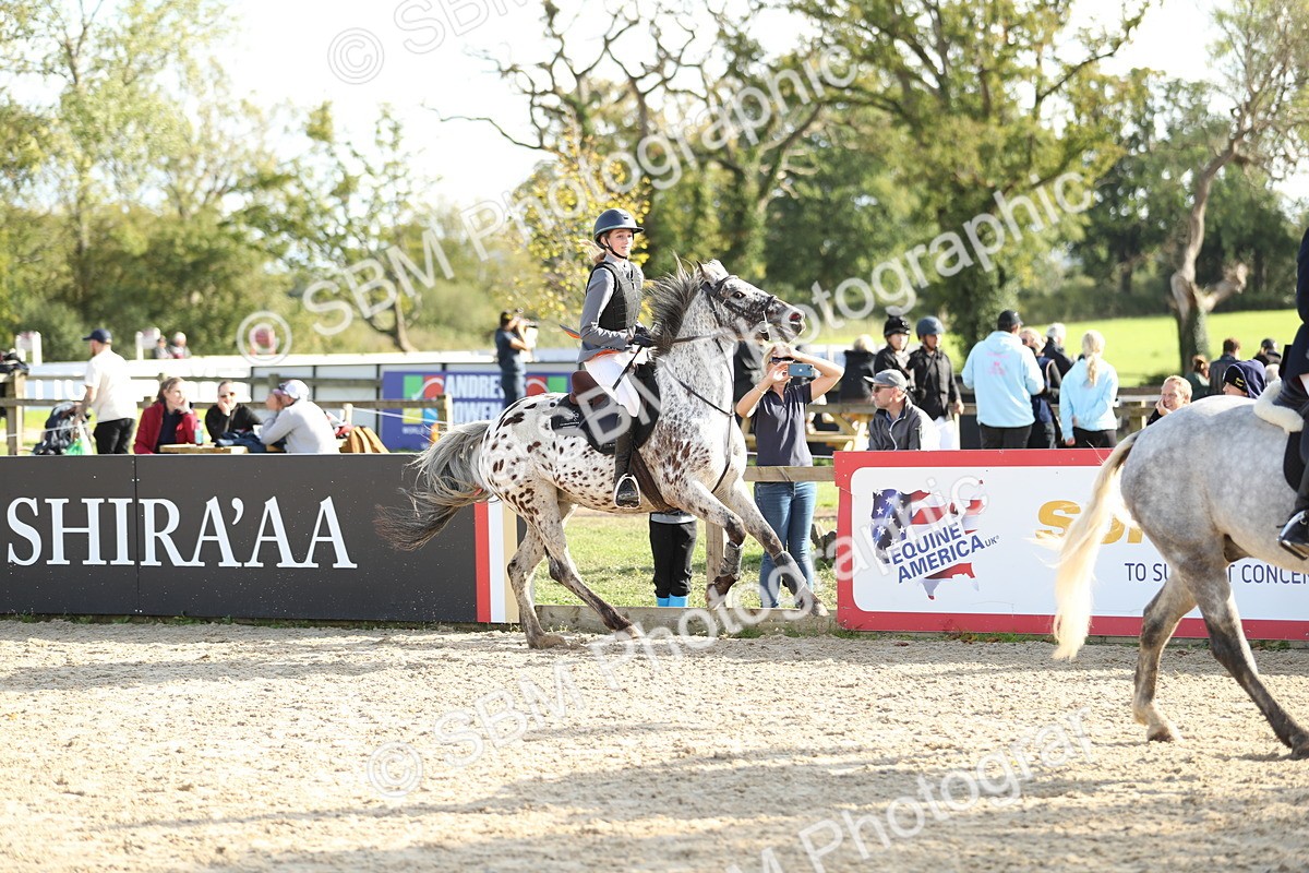 SBM_49692 - J22 - Junior Horse 65cm Championship