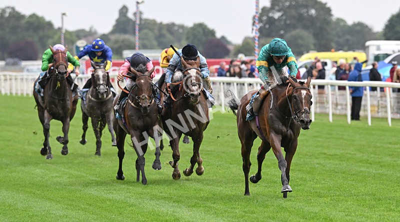 200826-126 Prizeland - Race 5 16.10pm British EBF & Sir Henry Cecil Galtres Stakes