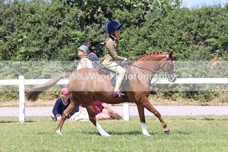 JPP_2728 - Class 21: Working Hunter 60cm