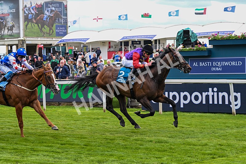 150526-Race 3-Warrant Holder-7558 - Race 3 2.55pm Support Macmillan Charity Raceday On 13 June Handicap