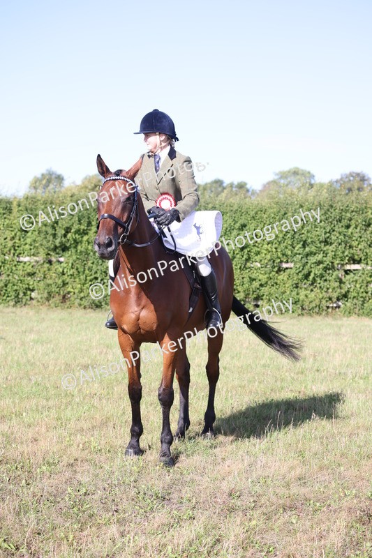 20260906-0420 - Class 14 - Ex Racehorse