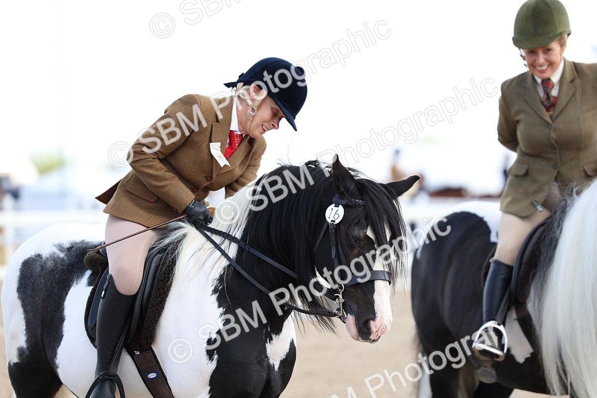SBM_11466
