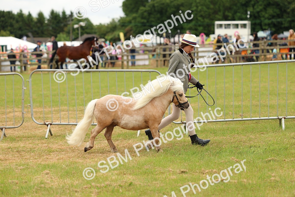 SBM_03494 - Class 58-67 - M&M Non Welsh Pony In hand