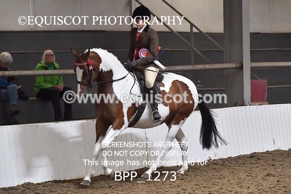 BPP_1273 - RING 2