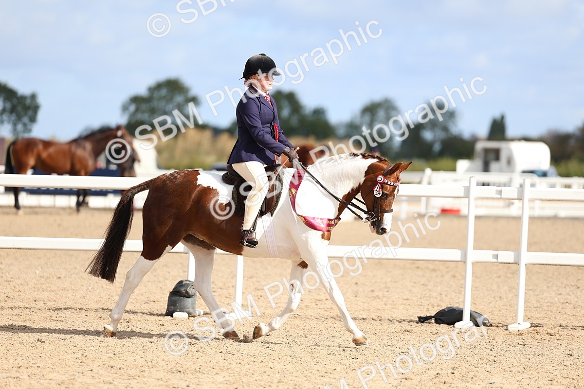 SBM_10158 - Class 304 - Ridden Part Bred Horse Pony
