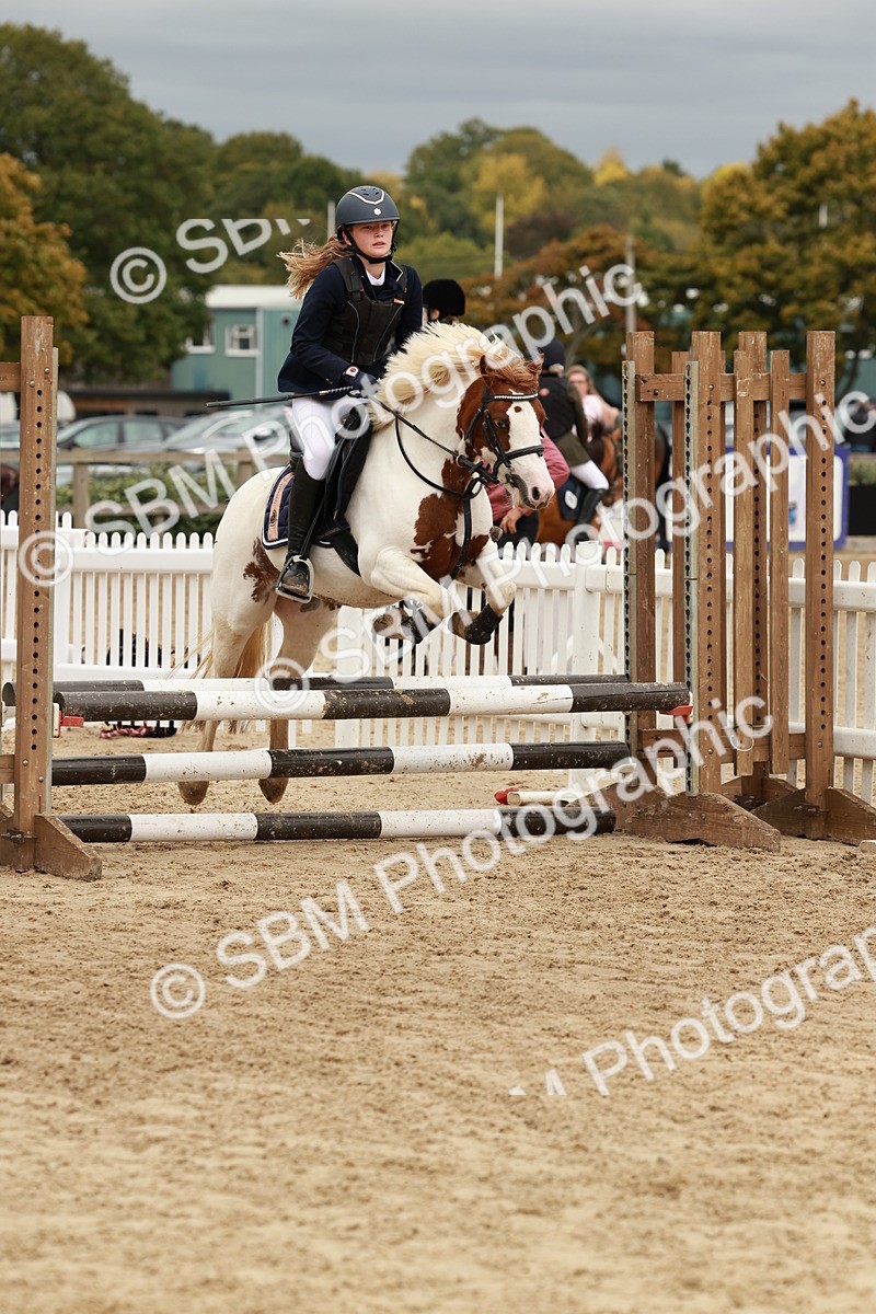 SBM_67004 - J13 - Junior Pony 60cm Championship