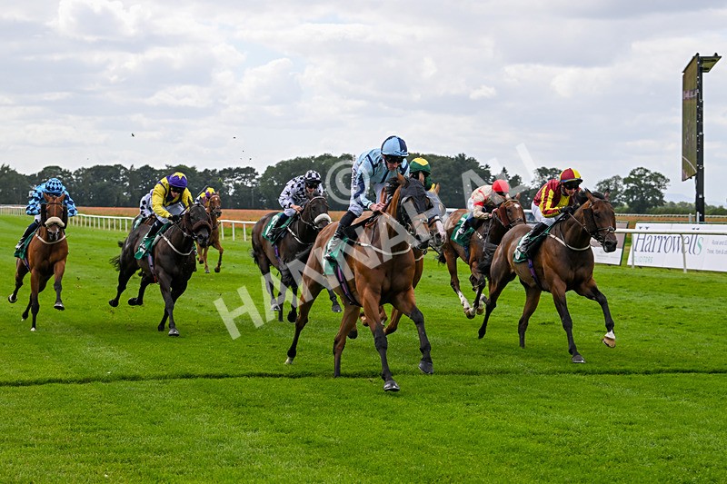 030824-Race 3-Alligator Alley-1659 - Race 3