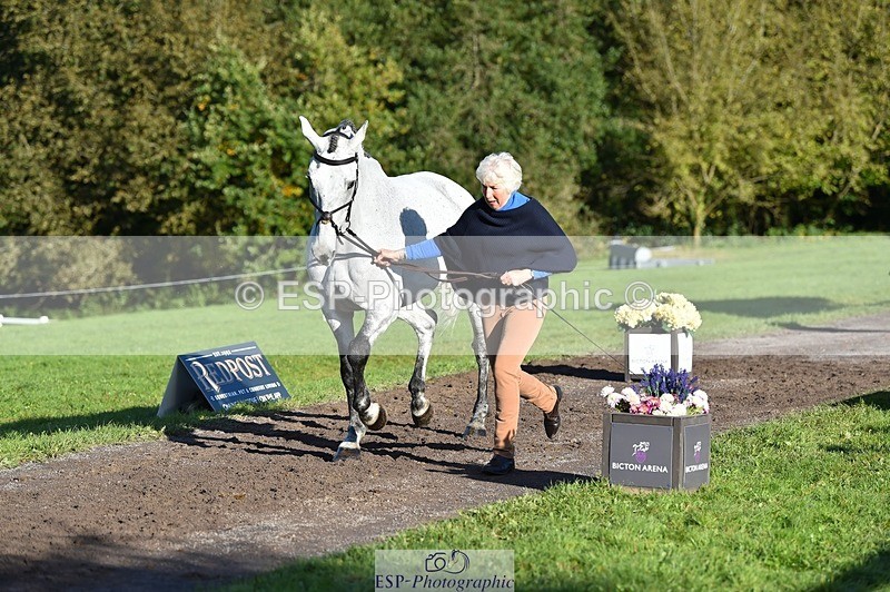 231022-100314-22207 - 624-CORRIEVIEW.OSCAR-Jane.Rogers-TrotUp+SJ