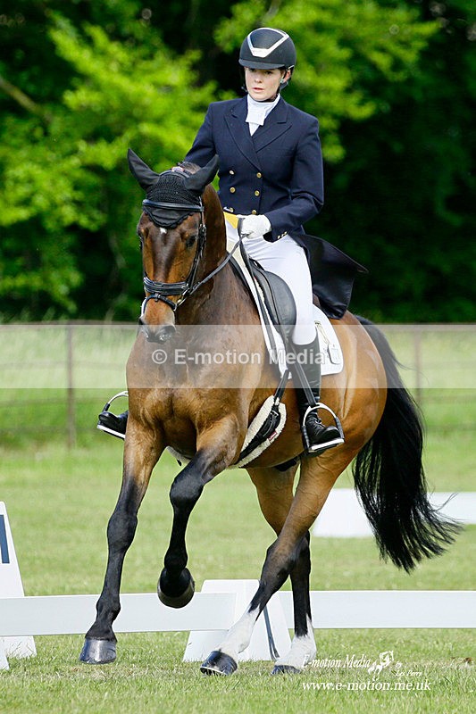 BE 270522 1645b - Equestrian