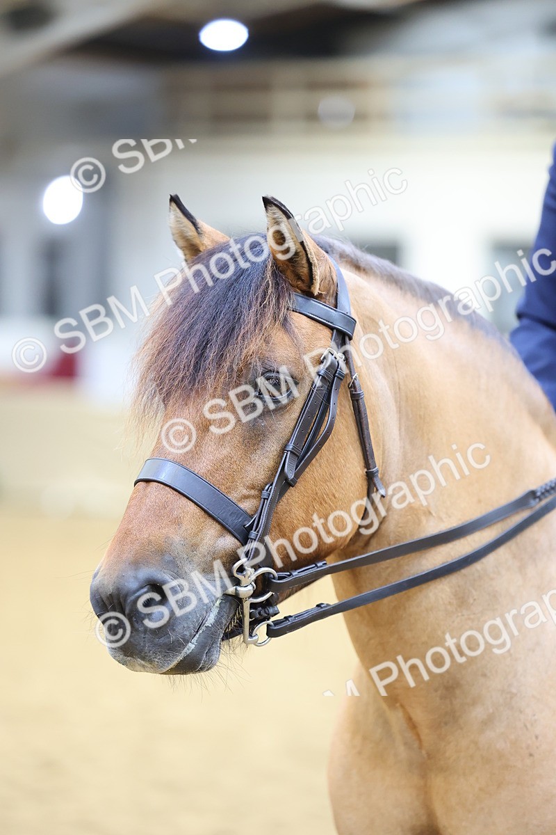 SBM_24414 - Class 906 - Supreme Final - Ridden Pre Vet