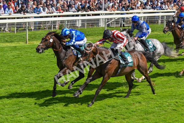 150723-Race 3-Pride of America-8688 - Race 3 3.10pm John Smith's Cup Handicap