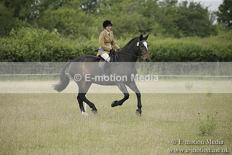 B230619-0363 - Bourne Valley Riding Club Summer Show 23/06/19