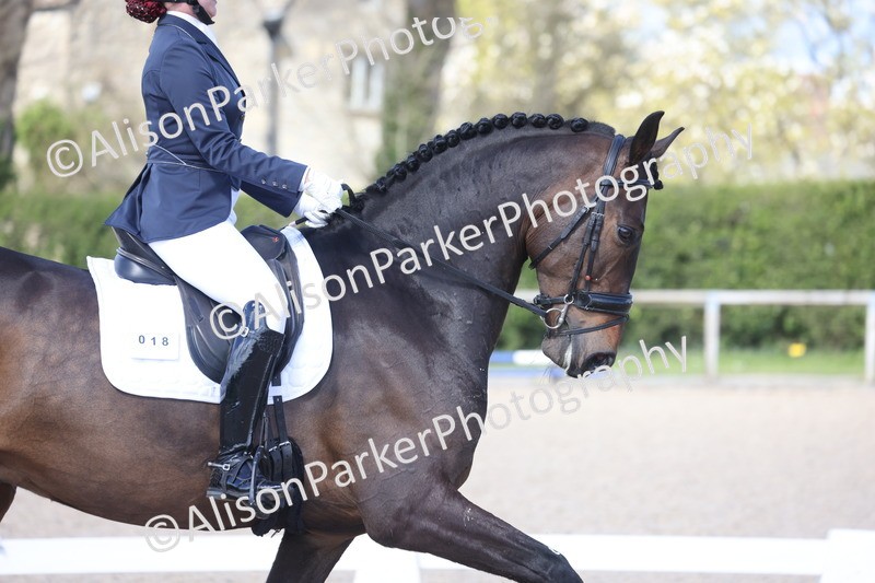 20260405-0615 - Class 7 - Medium 5