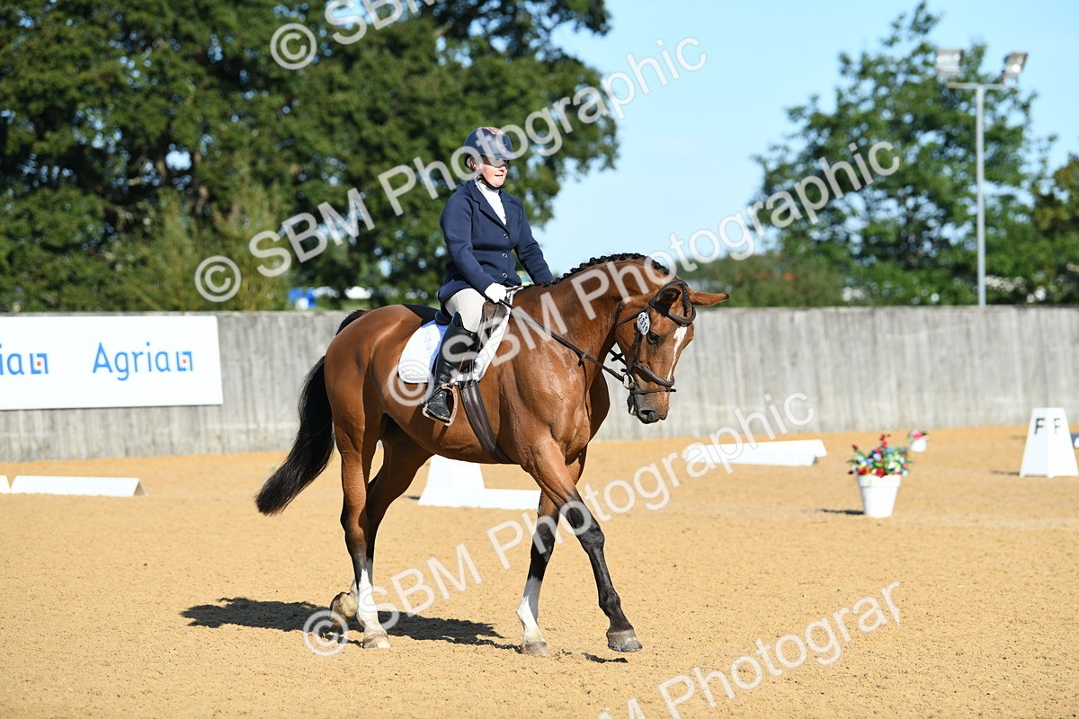 SBM_16231 - D4 - Small Tour Championship - Intro B