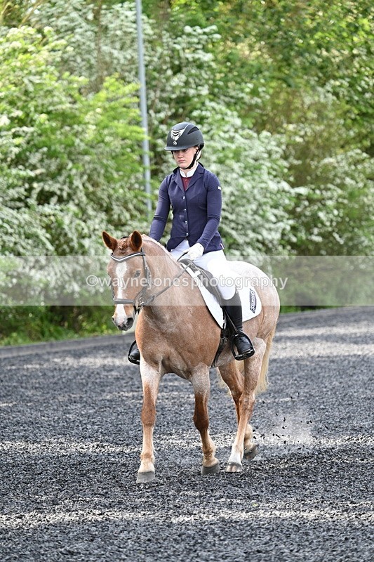 WJ7_8055 - Time 10:11 to 10:27