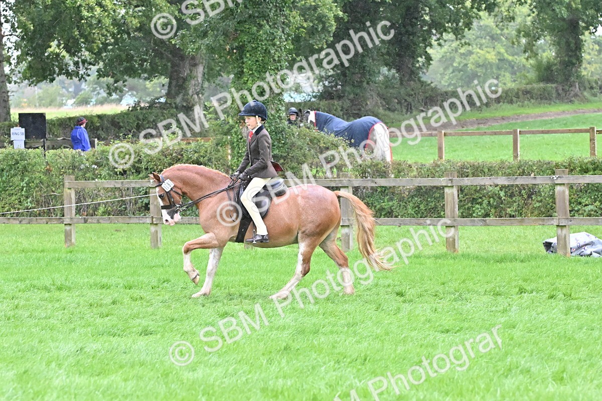 SBM_72484 - S43 - Ridden Equitation Best Rider