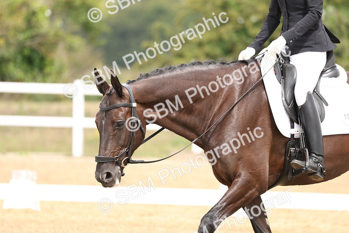 SBM_006355 - Class 6 - novice 6 - 11.50-12.46