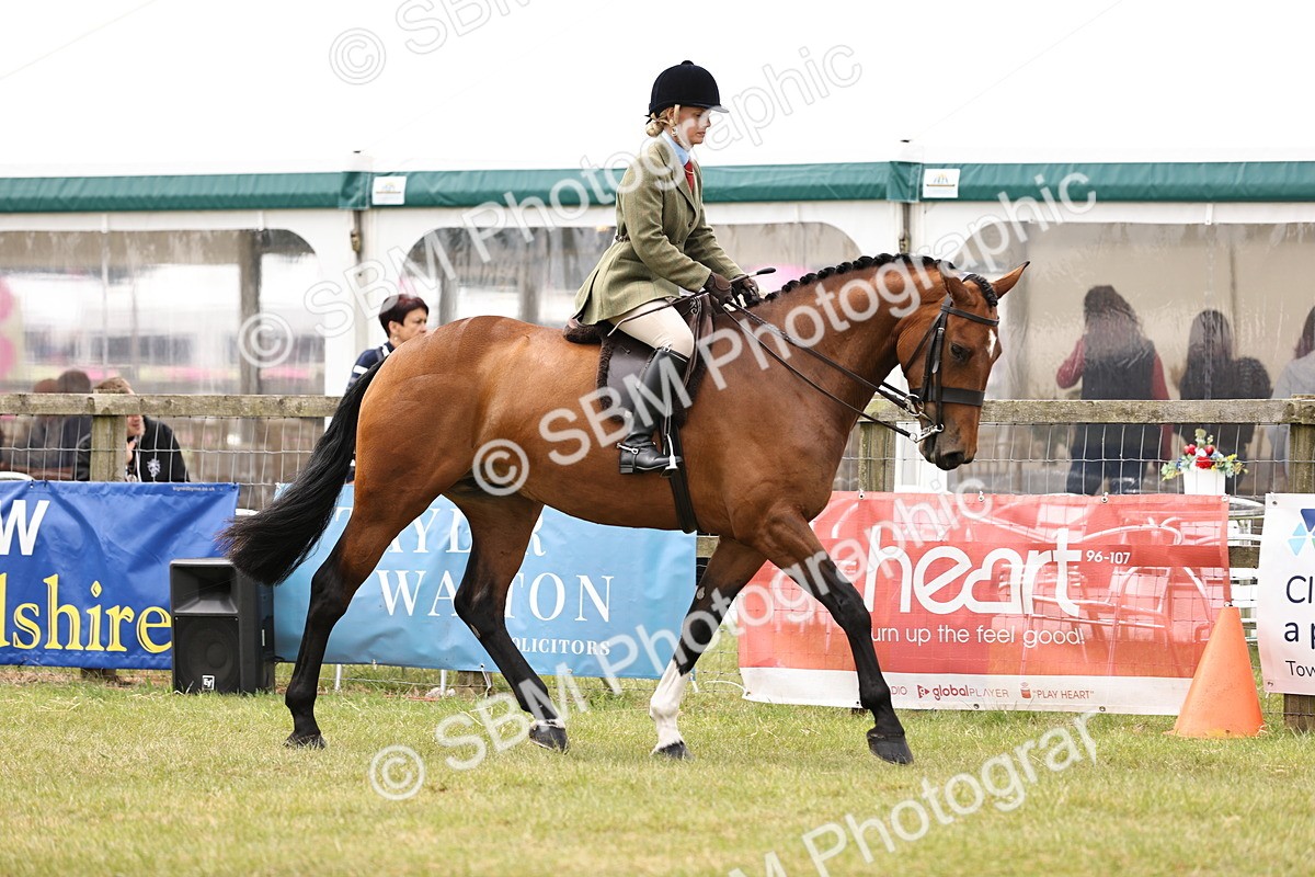 SBM_14654 - Class 88-89 - LIHS BSHA Rising Star of Ridden Hunter Type