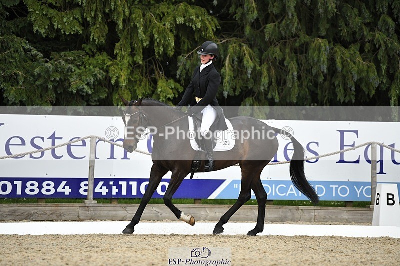 230525-142254-03135 - 320-CAVALIER_GUNFIRE-Tabitha_Baker-WEDTrotUp+DR