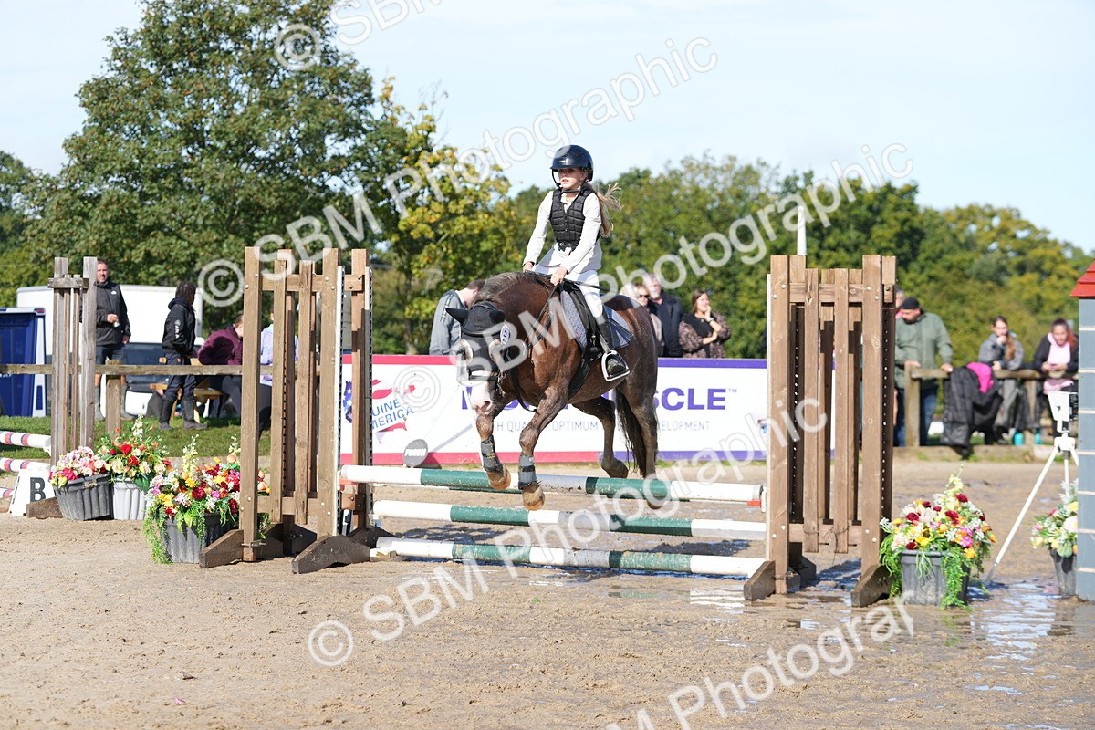 SBM_38297 - J6 - Junior Pony 55cm Championship