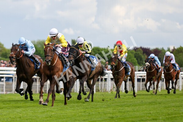 yr11052022r6-15 - Race 6 4.45pm Conundrum HR Consulting Stakes
