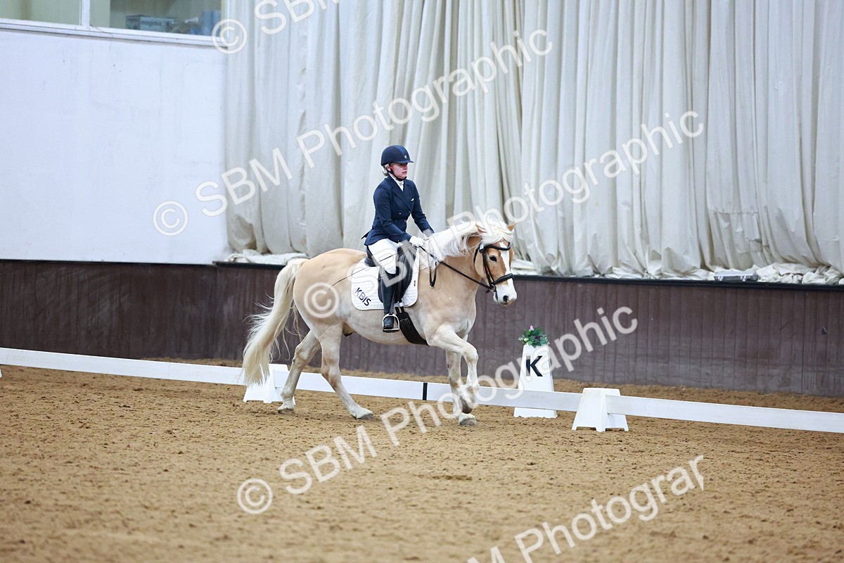 SBM_002880 - Novice Music