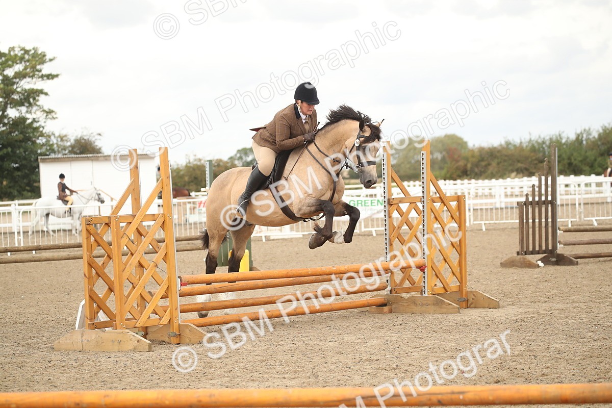 SBM_16679 - Class 507a - Working Veteran - 60cm (15-19)