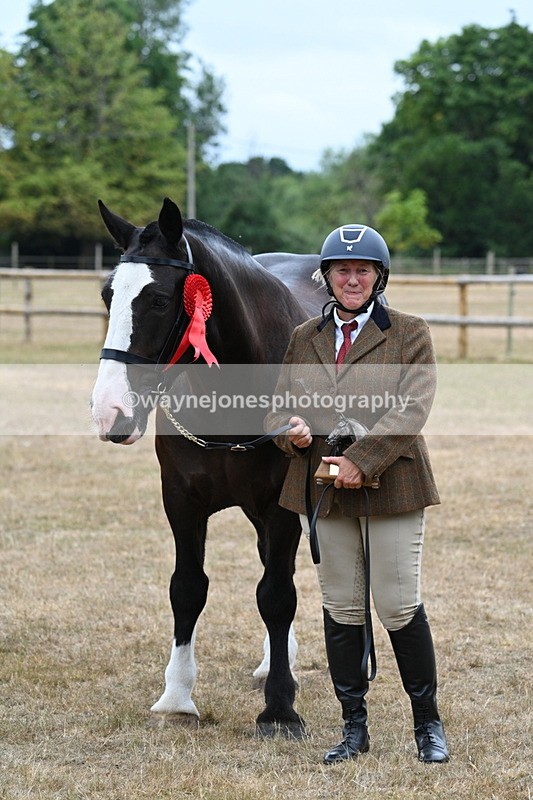 WJ7_0222 - Gelding Champs