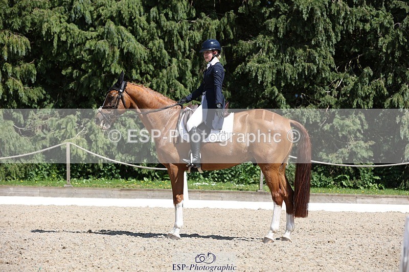 230526-151045-06647 - 378-CLASS_SPEC-Susie_Eddis-WEDTrotUp+DR