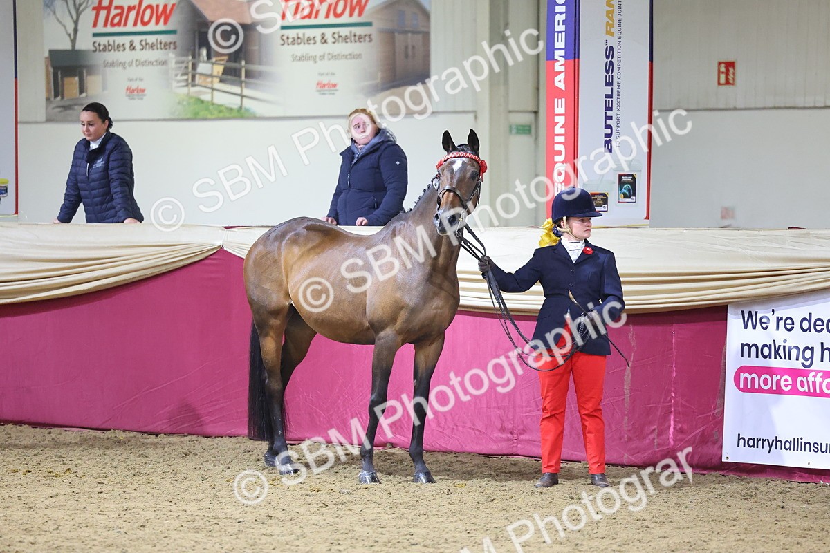 SBM_18856 - Class F Grass Roots Champ