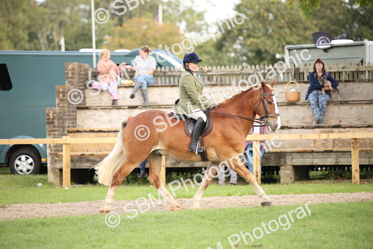 SBM_50215 - S26 - Young Veteran - Ridden