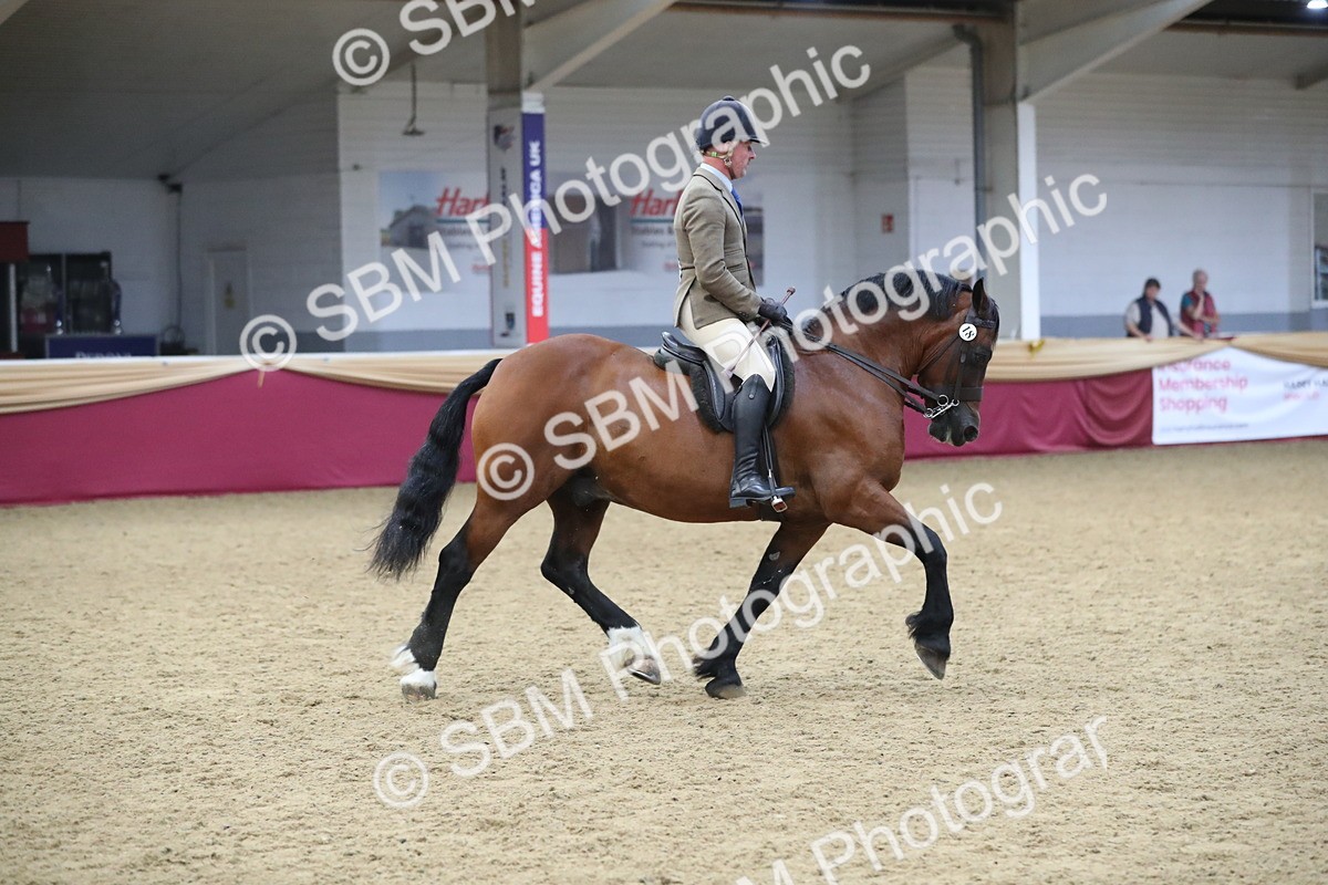 SBM_16447 - Class 502 M&M Ridden Supreme Final