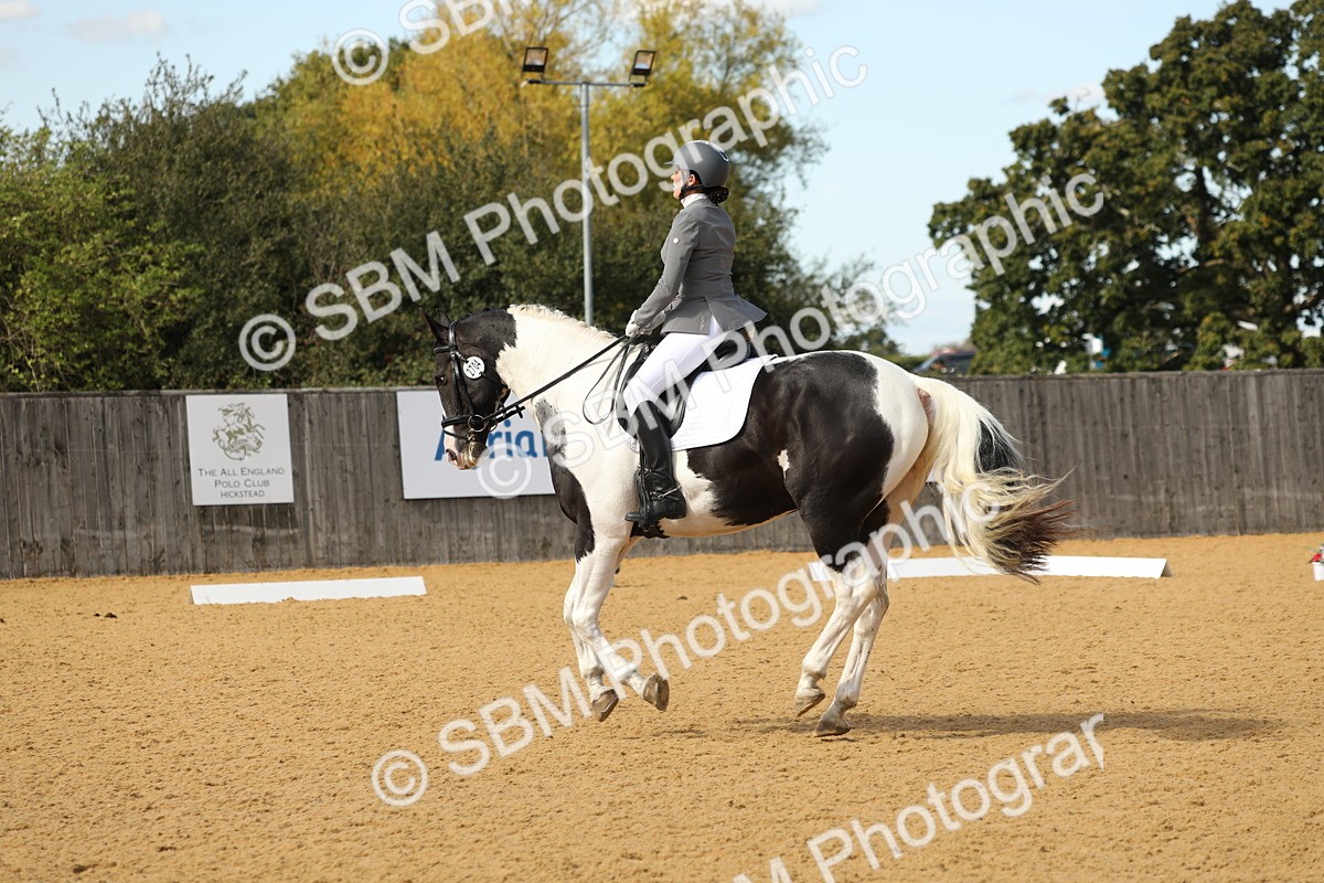 SBM_22252 - D17 - Grand Tour Championship - Novice 27