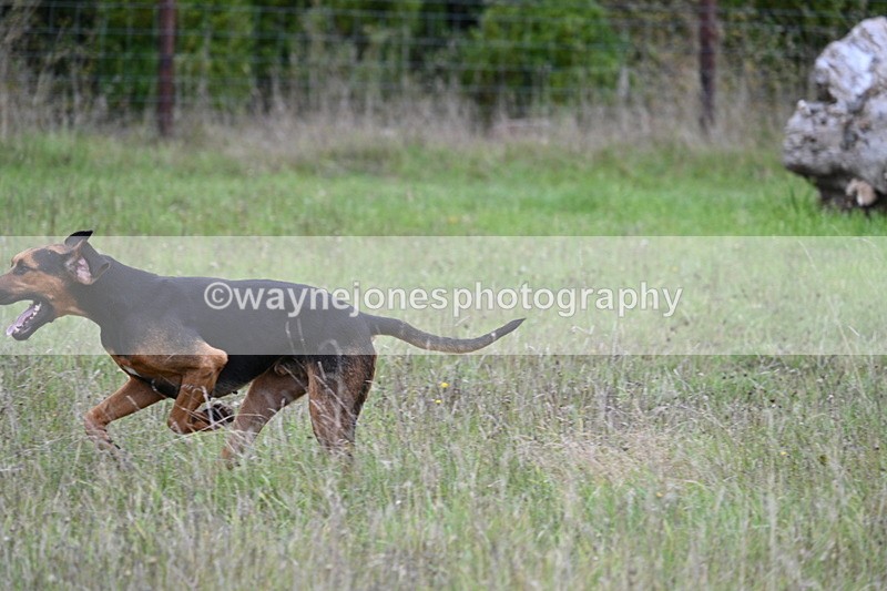 WJ7_3524 - Camera 1 Line 1