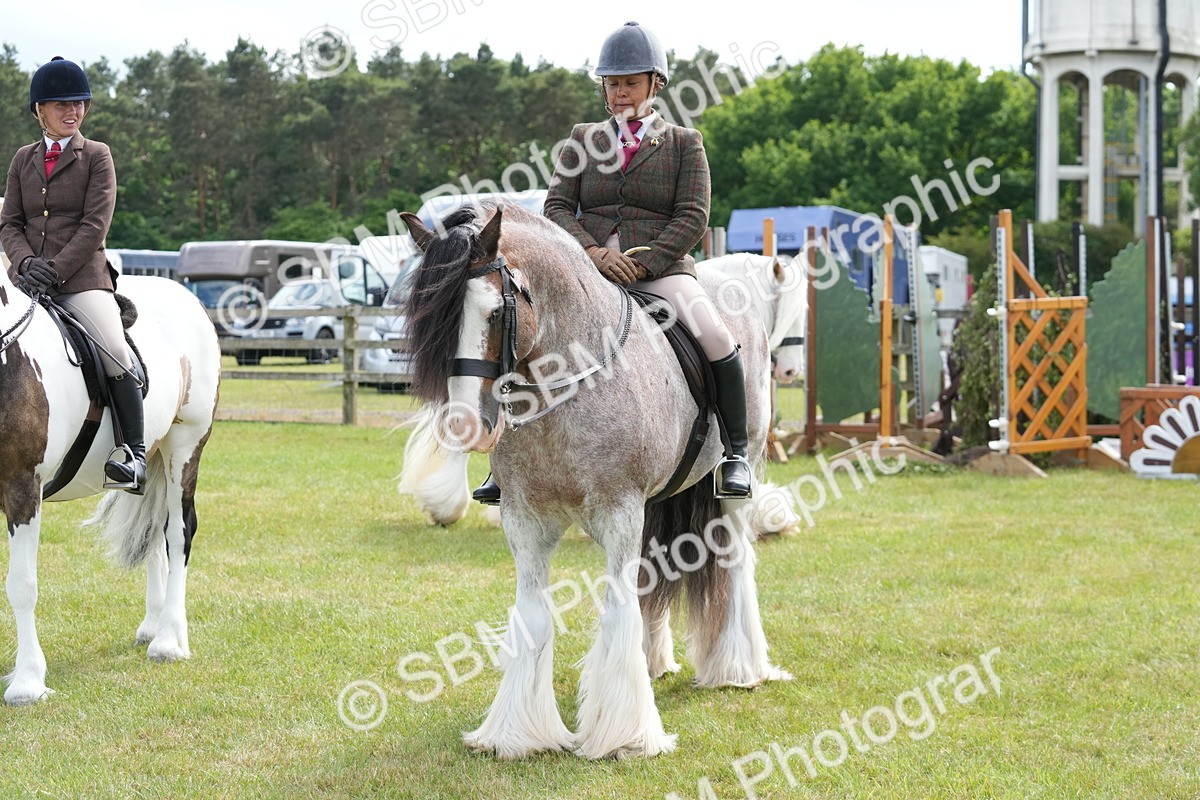 SBM_17310 - Class 107-108 - LIHS BSPS Performance Coloured Horse Pony