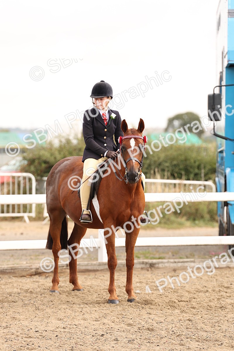 SBM_01579 - Class 52 - Ridden Veteran