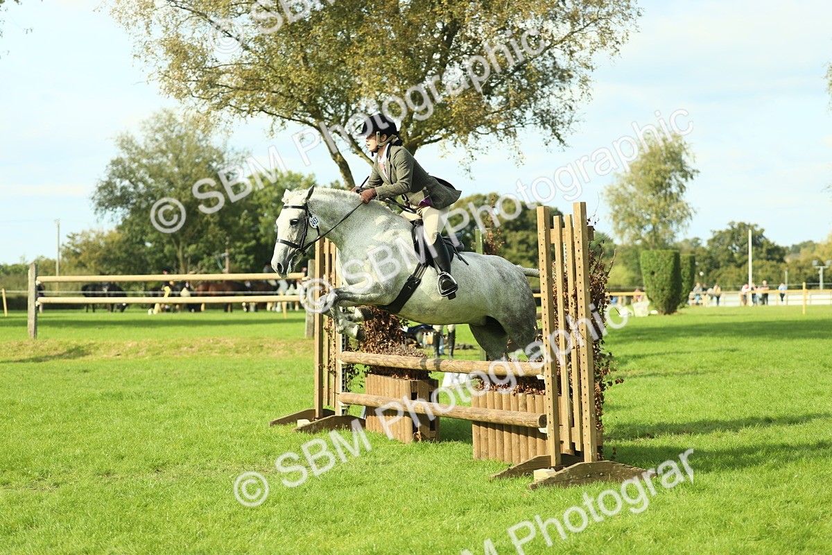 SBM_50642 - S33 - Working Hunter & Working Show Horse