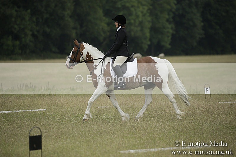 B230619-0220 - Bourne Valley Riding Club Summer Show 23/06/19